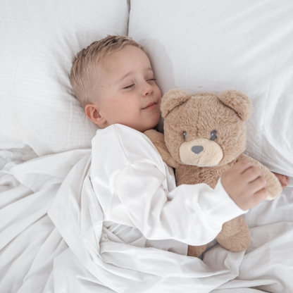 Dreamy, The Sleep and Affirmation Teddy Bear